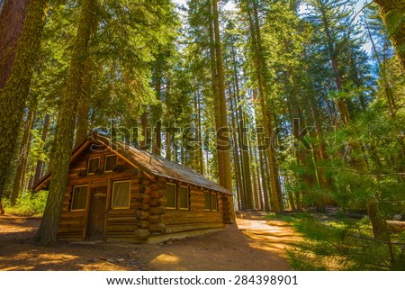 Cabin in the Woods, Yosemite National Park, California, USA.  Mariposa Grove, sequoia trees.