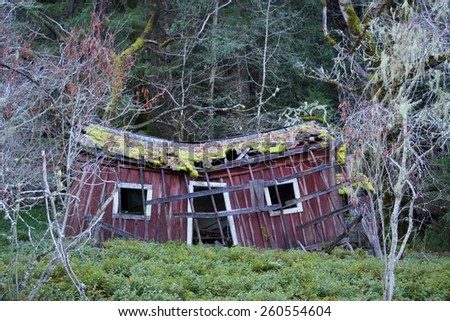 Weathered old shack, Napa Valley California