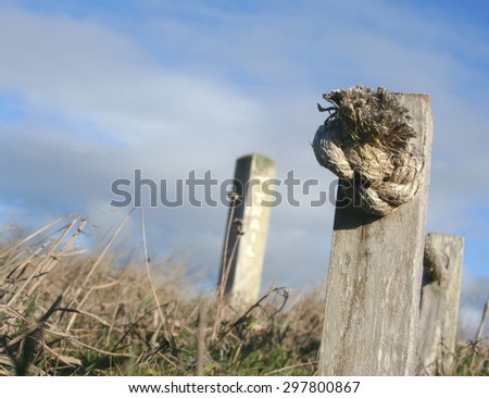 Frayed rope knot in a weathered wooden fence by trail post sign, Mendocino county California.