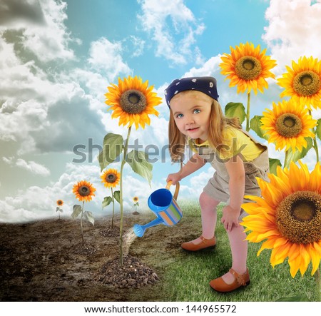A young little girl is watering sunflowers in a field garden. One side is dry, the other side is in full bloom for an environment or nature concept.