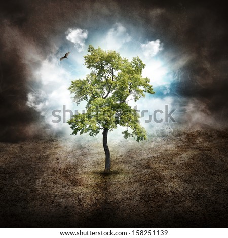 A Tree Is Alone In The Woods With On A Dry Landscape Against Clouds In The Sky For A Hope, Dream Or Nature Concept.