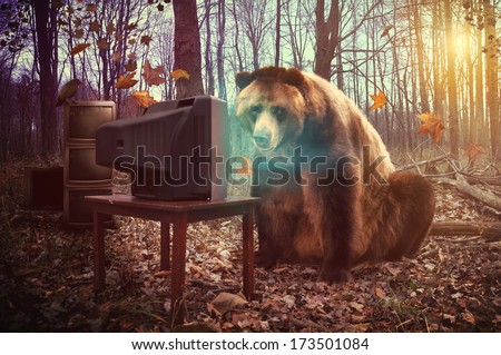A wild brown bear is watching television in the woods with a crow on broken tv\'s for an entertainment, humor or surreal concept.