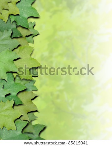 Green leaves are on the side of the photo for a border frame. The other side is blurred to add your copyspace. Use it for a nature or season concept.