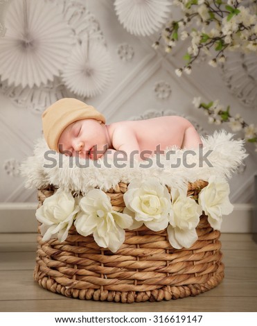 A cute newborn baby is sleeping in a basket with white flowers and a texture wall background for a photography portrait or love concept.