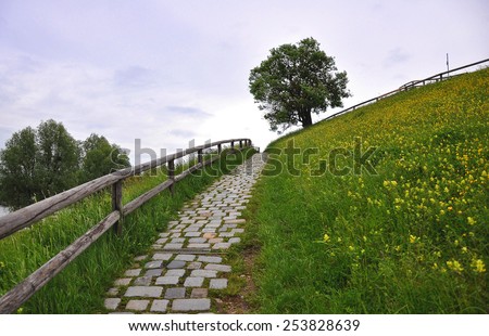 Stone path with fence on hill with tree on background
