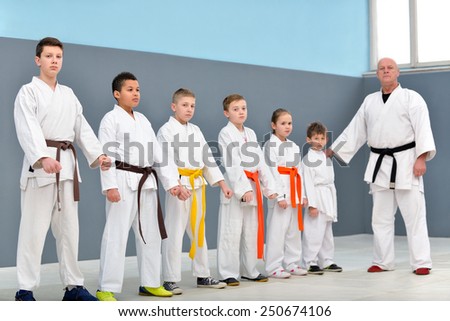 young, beautiful, successful multi ethical karate kids posing with karate master