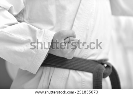 young, beautiful, successful multi ethical karate kids in karate position