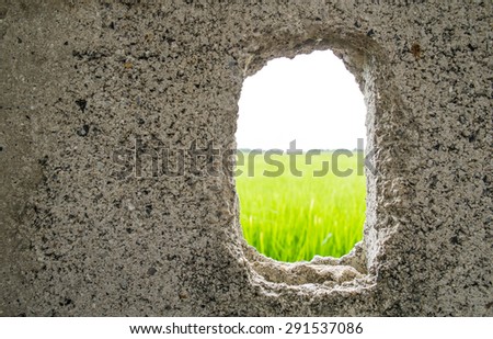Cracked concrete fence, see green nature view. concept of freedom, break the rule