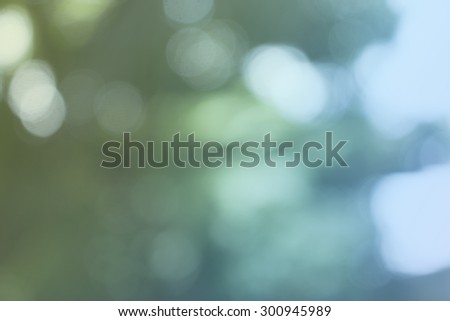 Daylight defocused cool tone colorful abstract bokeh background based from tree, blurry background.