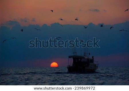 Sea boat, gulls and sunset