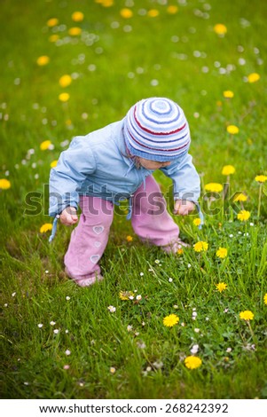 Child picking flowers. Sweet little girl picks flowers on a spring green meadow. Shallow depth of field