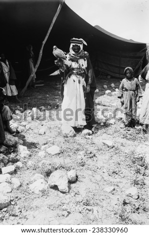 Bedouin hunter with his falcon, Jerusalem, photograph by American Colony Photo Department, circa 1898-1946