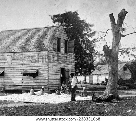 African Americans preparing cotton for the gin on Smith\'s plantation, Port Royal Island, S.C. Photograph by Timothy O\'Sullivan ca. 1862
