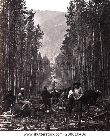 Cutting the boundary line. Men of the British North American Boundary Commission survey crew posed in clearing, along the right bank of the Moyie River, Idaho. ca. 1860