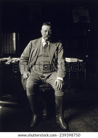 Theodore Roosevelt in his library at Oyster Bay N.Y in 1912, the year he would challenge his successor, William Taft, for the Republican presidential nomination.