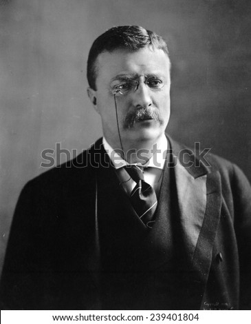 Theodore Roosevelt, 1902 bust portrait, with unusual soft and reflective expression.