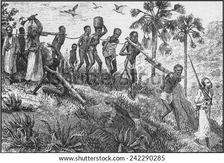 African captives were yoked together with logs and walked from the interior to the coast for sale to Europeans, and later Middle Eastern slaver traders for transport. 19th century engraving.