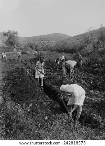 Jewish immigrants digging a trench as they establish a communal agricultural settlement, a kibbutz, on land provided by Jewish philanthropic organizations. Ca. 1920-36.