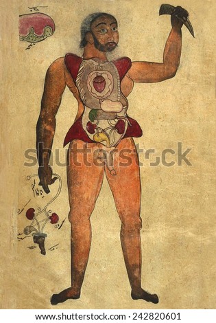 Anatomical illustration of a male figure with his abdomen and chest opened to reveal the internal organs. The European device of depicting animated partially-dissected bodies holding up body parts.
