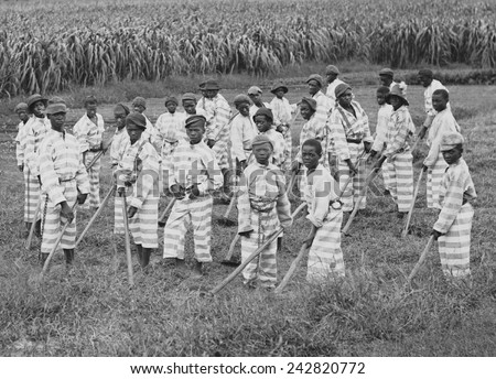 Juvenile convicts at work in the fields in Southern chain gang. Southern jails made money leasing convicts for forced labor in the Jim Crow South. Circa. 1903