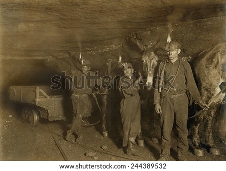 Drivers and Mules with young laborers in a West Virginia coal mine. October 1908 photo by Lewis Hine.
