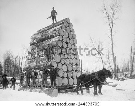 Big load of logs on a horse drawn sled in Michigan, ca. 1899.