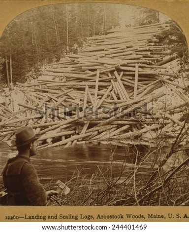 Felled logs ready to enter the Aroostook River. A lumberjack in the foreground holds axe. Aroostook Woods, Maine, 1903.