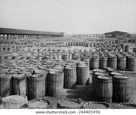 Hundreds of barrels on the wharf of Savannah, Georgia. Ca. 1904.