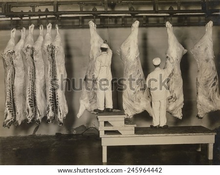 Federal meat inspectors examine animal carcasses in 1910. The Pure Food and Drug Act of 1906 provided for Federal inspection of meat in a Progressive Era reform.