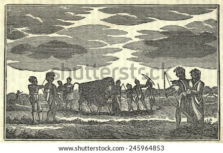 Illustration from Lewis and Clark\'s journal of the expedition from 1803-6. Native Americans and a Buffalo.