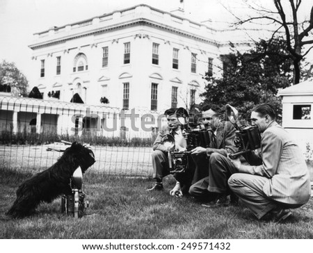 FDR\'s dog, Fala, photographing the photographers at the White House. Apr. 7, 1942.