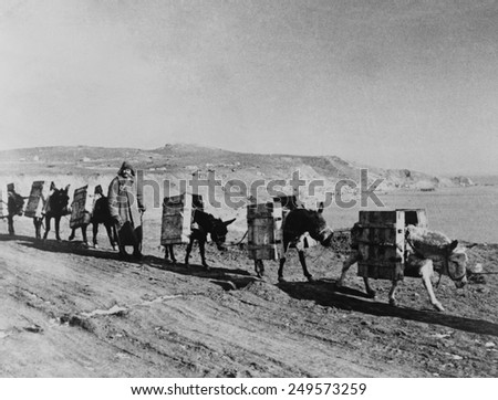 Russian soldier with a pack train of donkeys during World War 2. Ca. 1945 photo by Evgenii Khaldei.