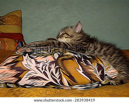 Little kitty sleeping on the colorful pillow in the room