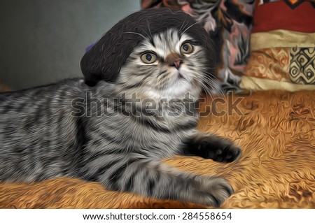 Big cat sitting on the bed in the hat