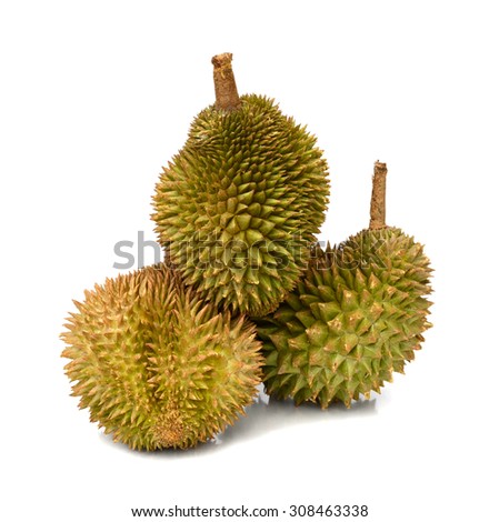 durian isolated on white background