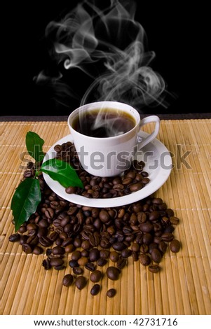 Hot coffee cup, coffe beans and young plant
