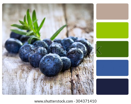 colour palette with complimentary swatches.