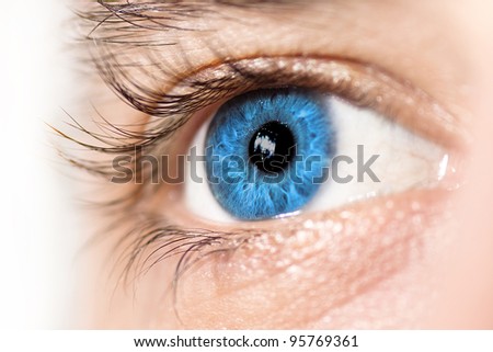 Macro of a blue eye. Side view, selective focus.