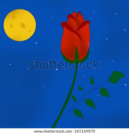 The moon and rose.