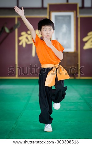 little asian boy practice martial arts