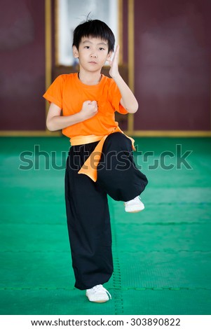 little asian boy practice martial arts