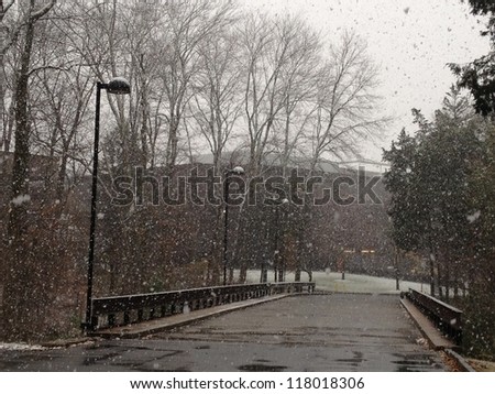 WILTON, CONNECTICUT (USA) - NOVEMBER 7: The Winter Storm Athena hits Northeast US on November 7, 2012.  These pictures were taken at the onset of the storm in Wilton, Connecticut.