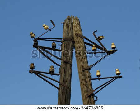 Old wooden pole used to transfer electricity.