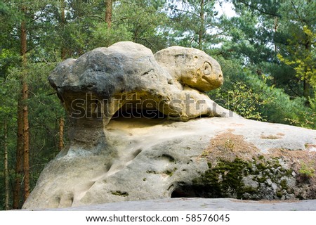 A sandstone rocky formation,Testudo