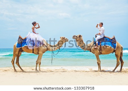 camel ride on wedding day camel ride on wedding day