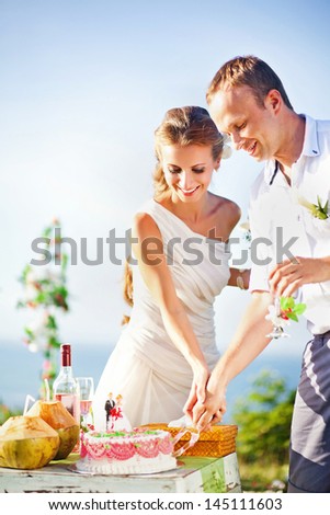 newlyweds cutting the wedding cake (soft focus on the eyes of bride and groom)