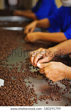 Workers choosing the beans of the best quality at coffee factory (focus on the hand)