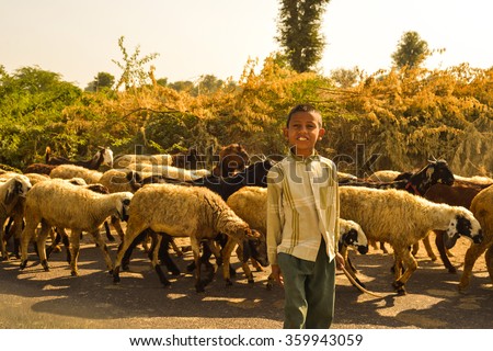 Udaipur, India-\
December 24, 2014:\
Young Boy Herding His Sheep on the Road in Udaipur, India.