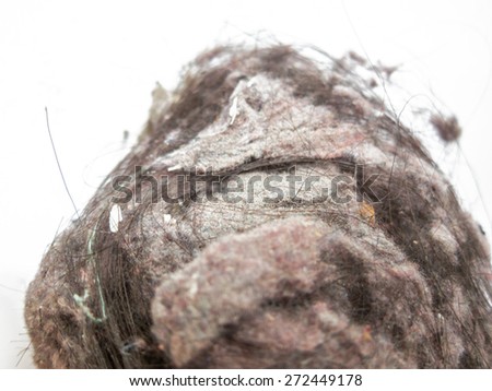 The close-up of a clump of common house dust from the vacuum cleaner. House cleaning concept. Dust particles can lead to various types of ailments and illnesses.