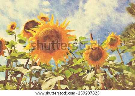 sunflower vintage paint